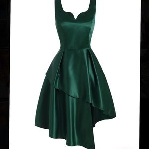 1950s-Style Dress (Never Worn)